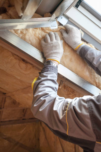 Best Energy Efficiency Solutions in Downs, IL