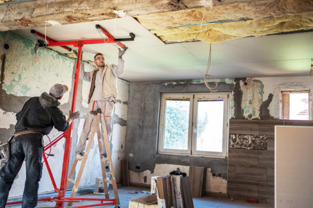 Best Types of Insulation in Downs, IL