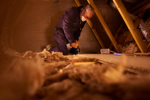 Best Insulation Installation Services in Downs, IL