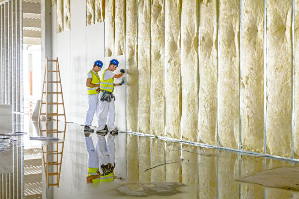 Best Residential Insulation in Downs, IL